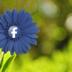 Wie Du mit Facebook kostenlos Marketing machen kannst 
